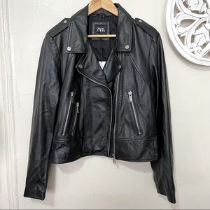 Zara size XXL sheep leather moto jacket